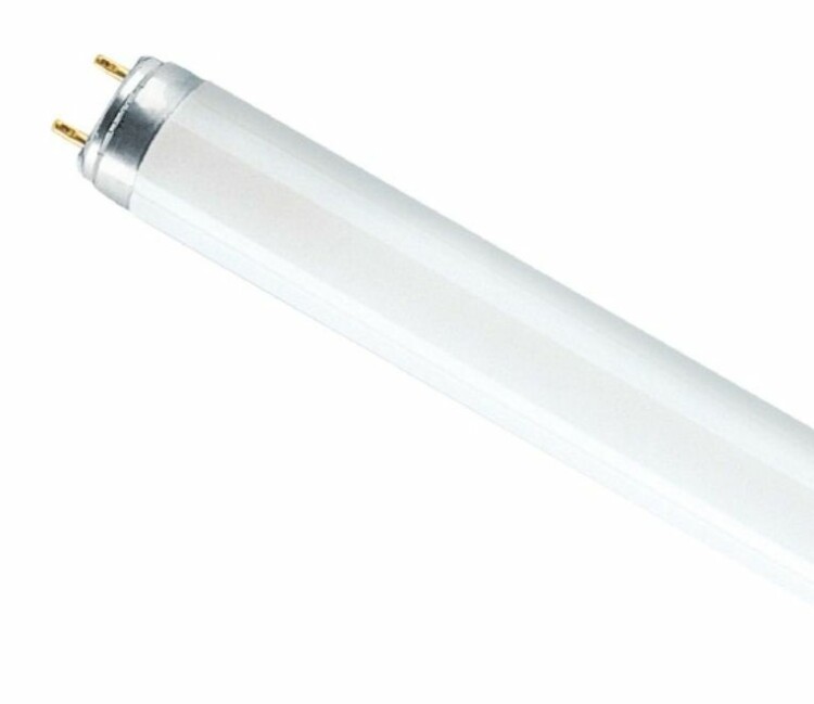 Лампа люмин. трубч. T8 1500мм G13 58Вт 4000лм 4000К (цветоперед. >=60%) OSRAM (г. Смоленск)