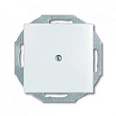 Заглушка белая Basic 55-Накладки и вставки для ЭУИ - купить по низкой цене в интернет-магазине, характеристики, отзывы | АВС-электро